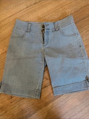 CAbi Blue and White Pinstripe Bermuda Shorts
